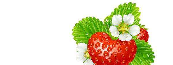 Фон с ягодками сад