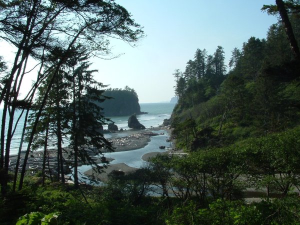 Город Форкс штат Вашингтон природа