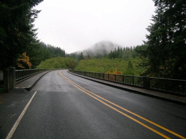 Сиэтл Форкс