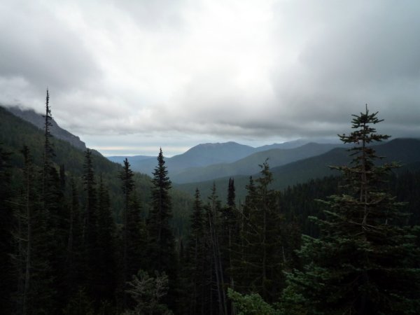 Форкс штат Вашингтон