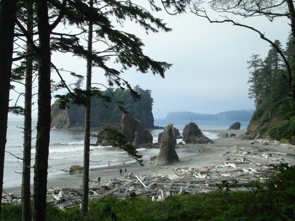 Форкс Вашингтон Сумерки