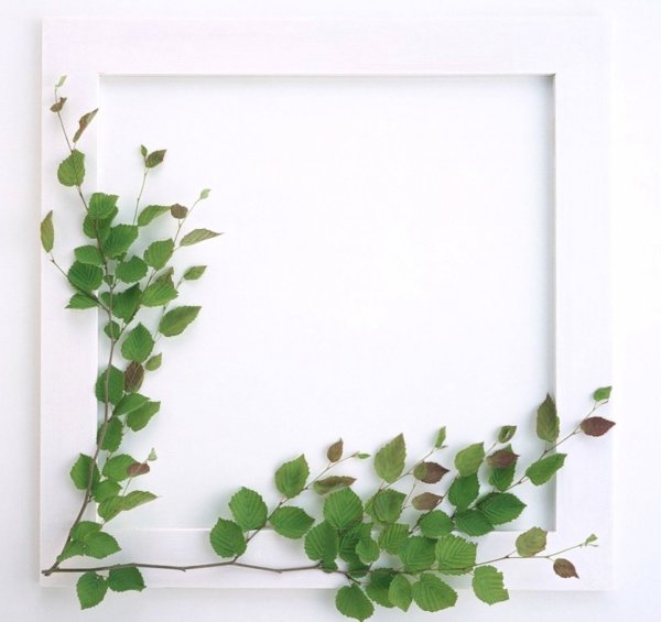 Рамка с березовыми листочками
