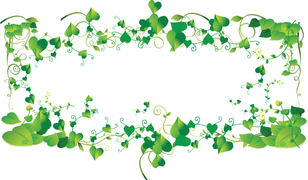 Рамка из лиан