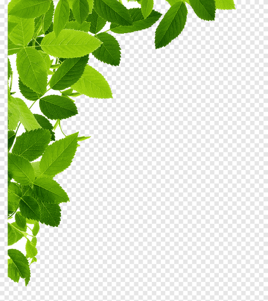 Рамка листья