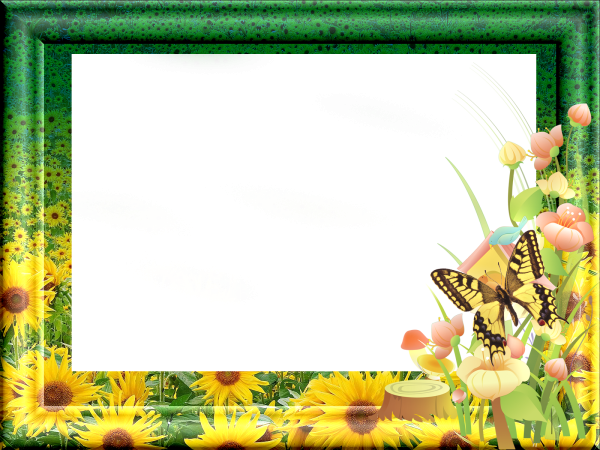 Летняя рамка