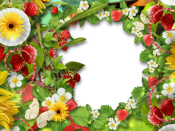 Красивые яркие рамки