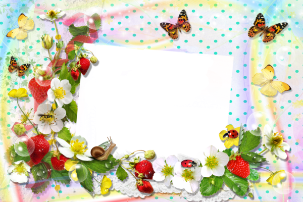 Летняя рамка