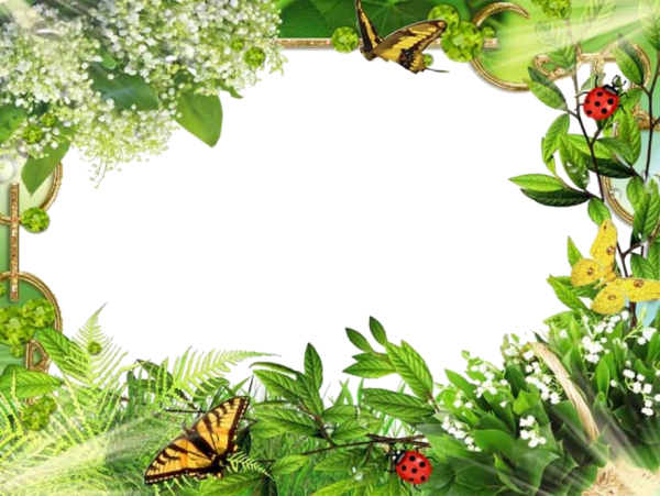 Рамка прозрачная природа