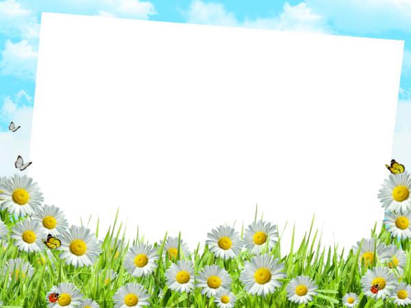 Фоторамка с ромашками