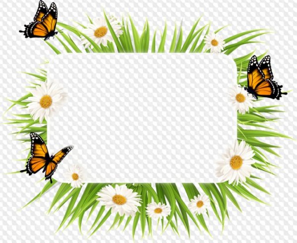 Летняя рамочка на прозрачном фоне