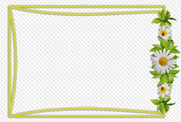 Рамочка с ромашками