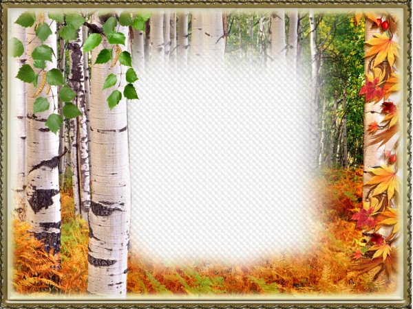 Фоторамки с березками
