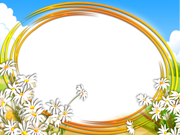 Рамка ромашки