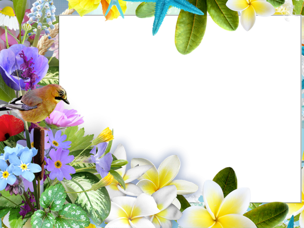 Рамка с весенними цветами