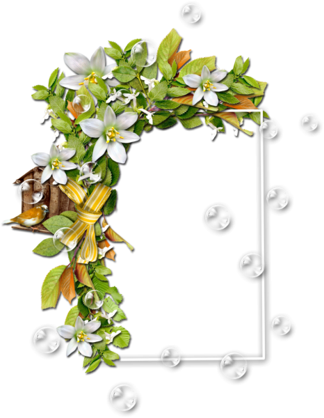 Прозрачные рамки с весенними цветами