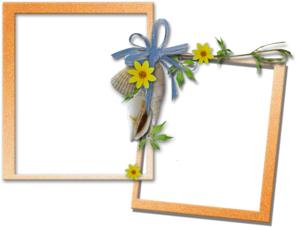 Фоторамка клипарт на прозрачном фоне