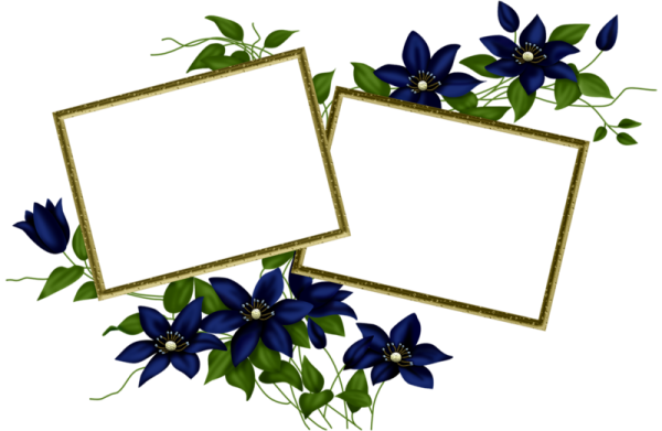 Двойные рамочки на прозрачном фоне