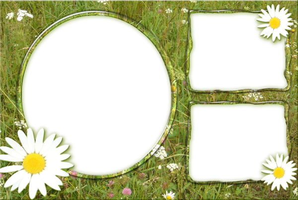 Фоторамка с ромашками