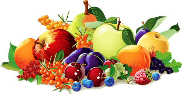 Фрукты и ягоды на прозрачном фоне
