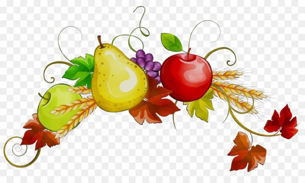 Фруктовый орнамент
