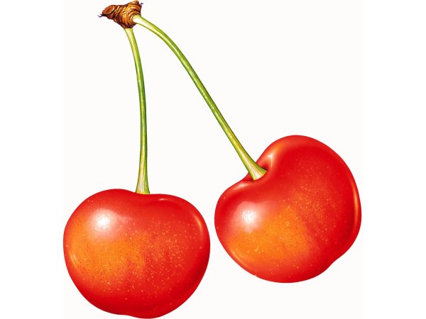 Фрукты для детей на прозрачном фоне