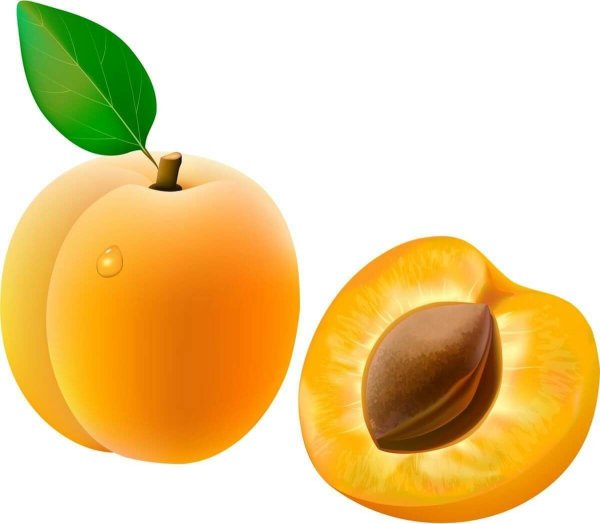 Фрукты абрикос
