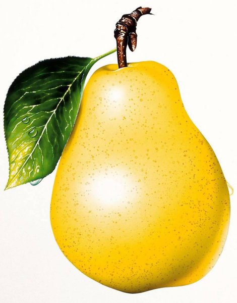 Pear (Пэар) - груша