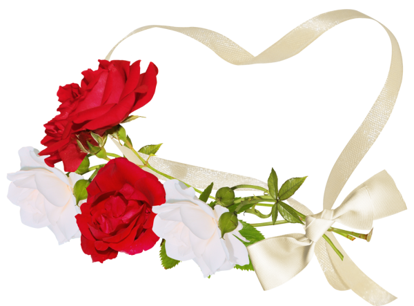 Розы на прозрачном фоне