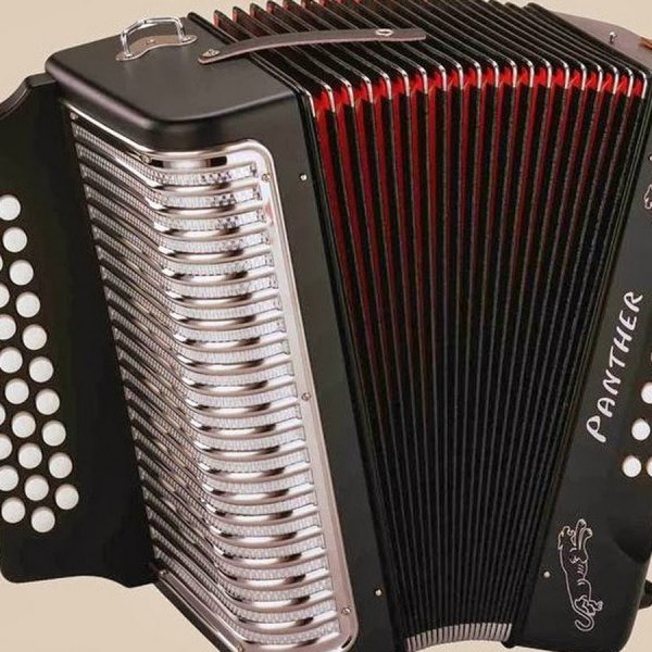 Баян на прозрачном фоне