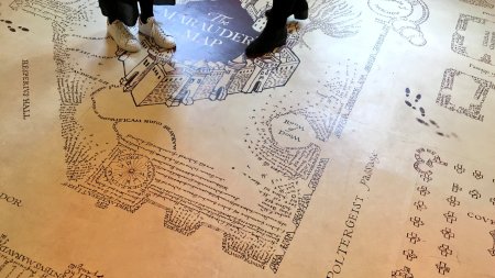 Карта Гарри Поттера шалость