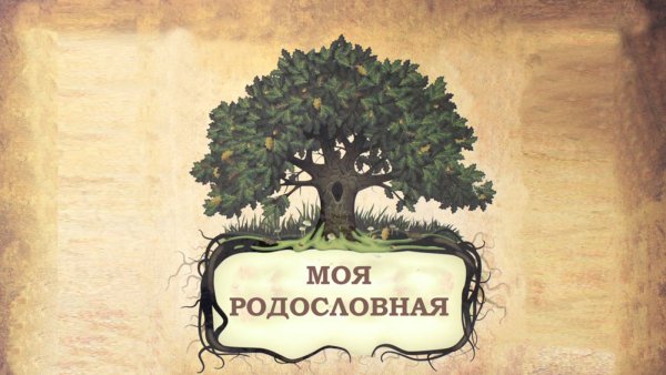 Моя родословная