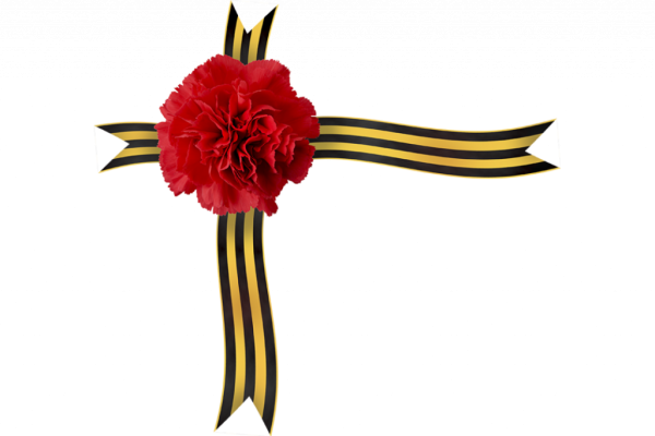 Георгиевская лента с гвоздикой