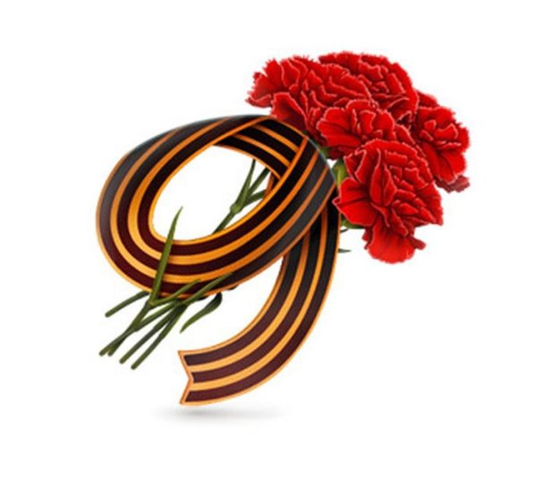 Георгиевская лента с гвоздикой