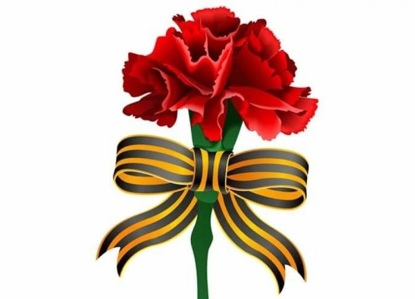 Гвоздика символ Победы в Великой Отечественной войне