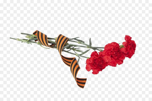 Гвоздики с георгиевской лентой