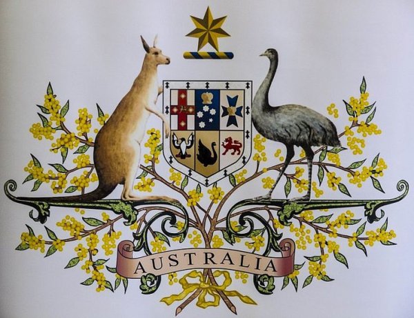 Герб Австралии страус