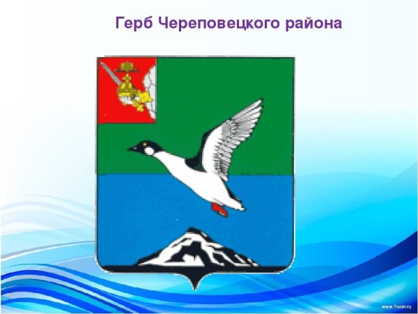 Флаг Череповецкого района