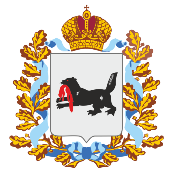 85 Иркутской области логотип