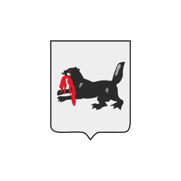 Флаг Иркутска раскраска для детей 2 го класса