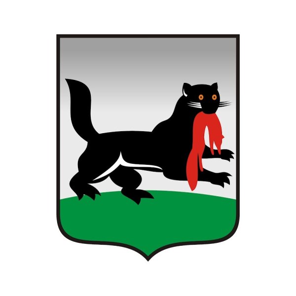 Администрация Иркутска эмблема