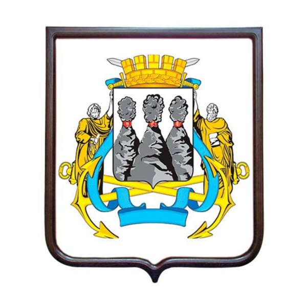 Флаг Петропавловска-Камчатского