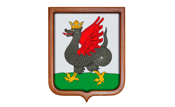 Казань Зилант флаг