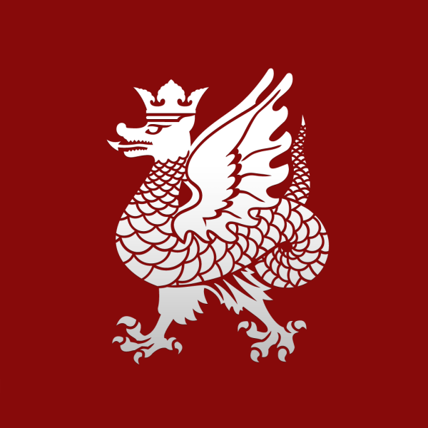 Зилант Казань вектор