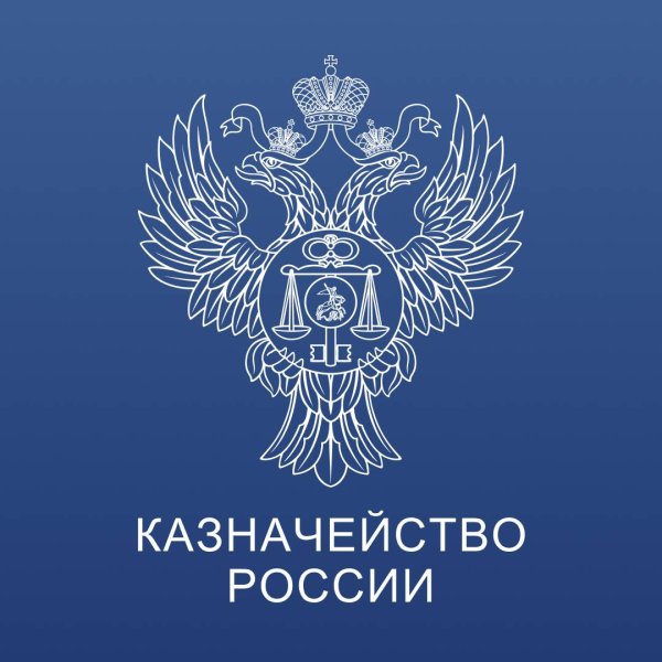 Обложка казначейство России