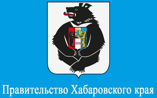 Правительство Хабаровского края лого