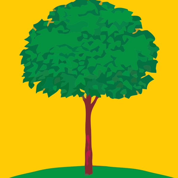 Липа герб Липецка