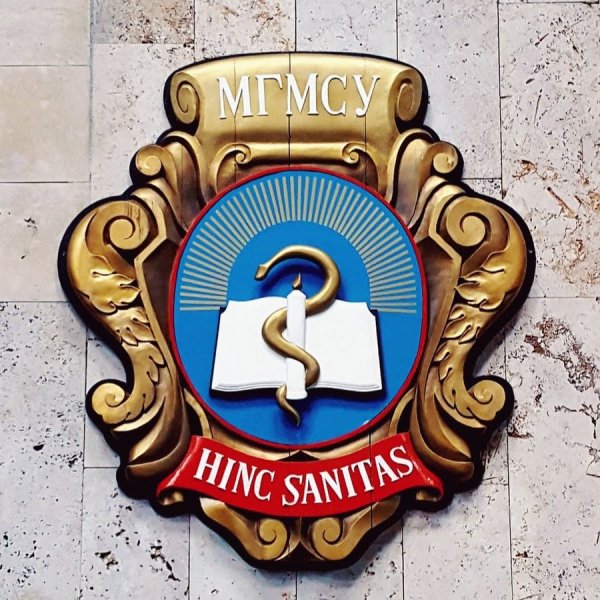 Московский государственный медико-стоматологический университет