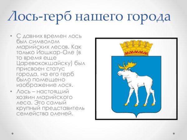Флаг города Йошкар Ола
