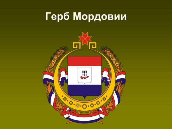 Республика Мордовия герб и флаг