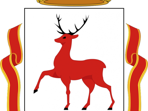 Нижний Новгород 800 лет герб